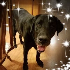 Meet your Posher, Tara